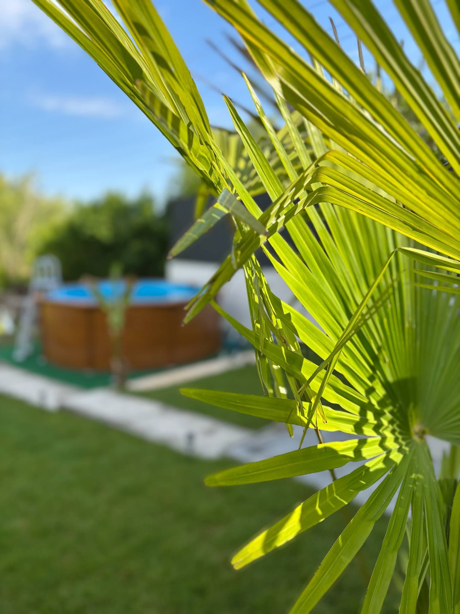 RSD Riverside - 4. kép