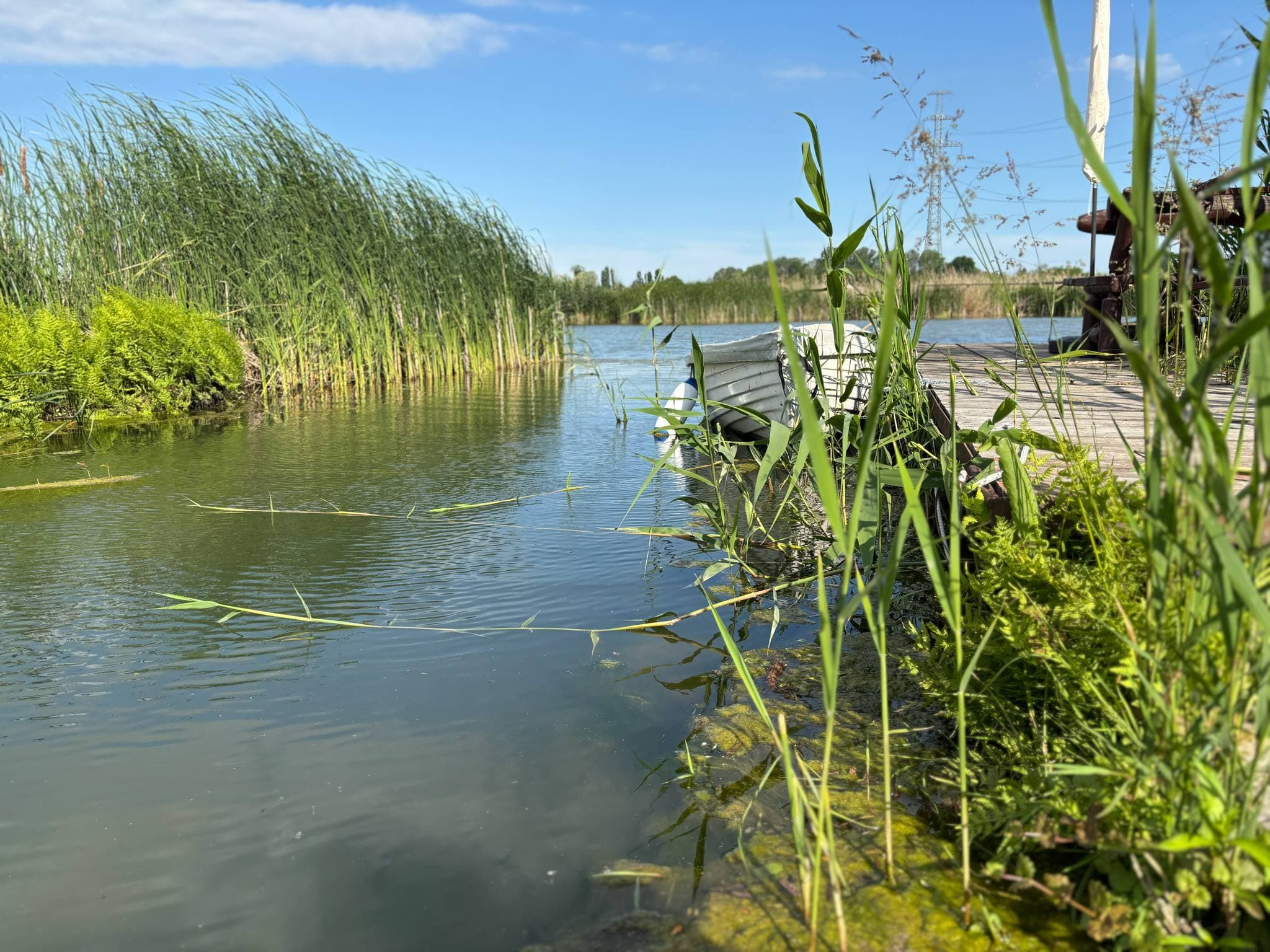 RSD Riverside - 7. kép