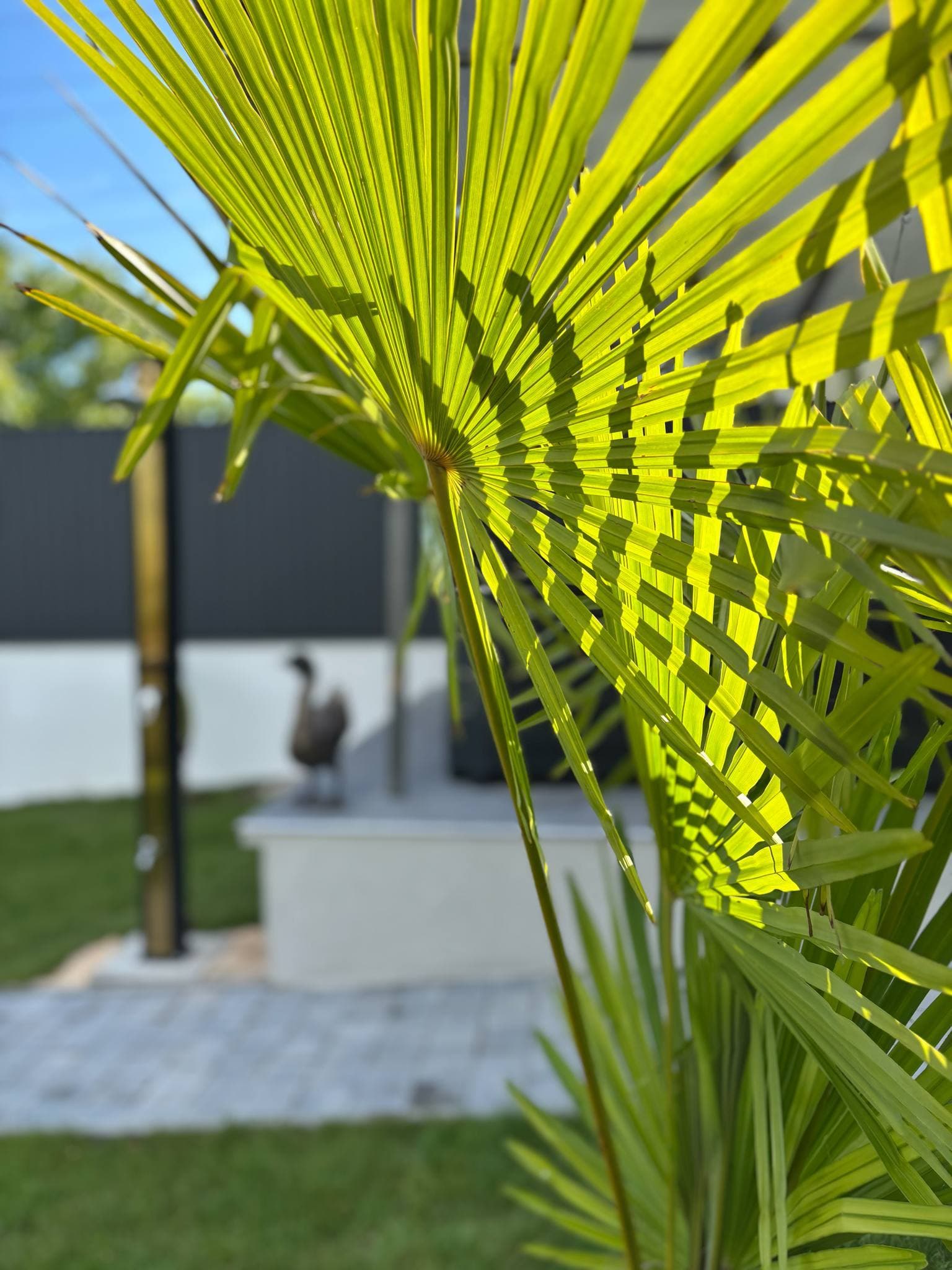 RSD Riverside - 8. kép