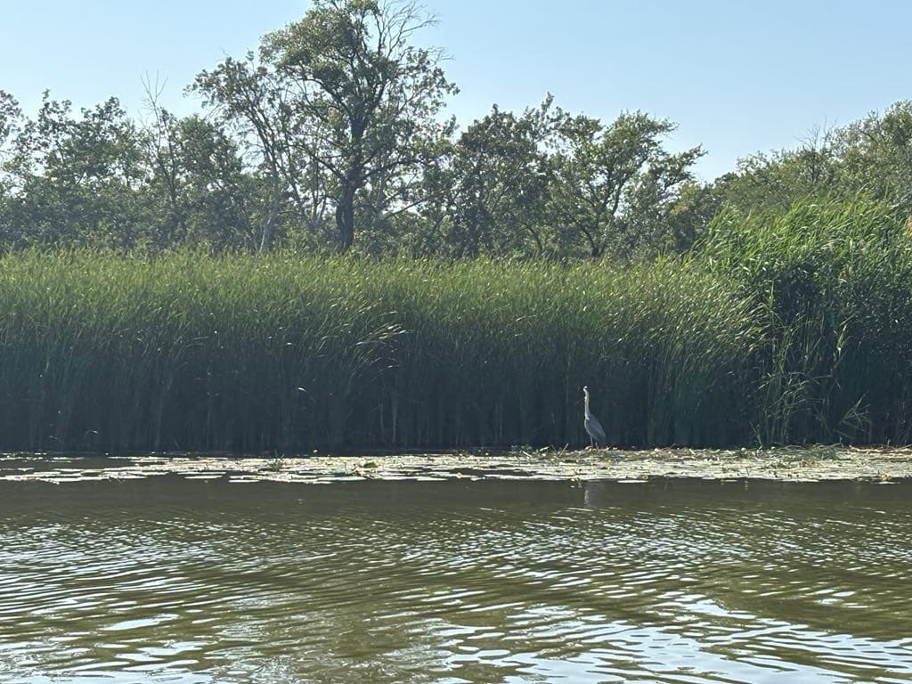 RSD Riverside - 29. kép