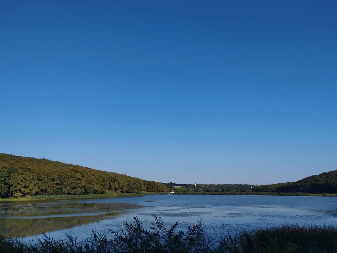 Madárkás - 2. kép