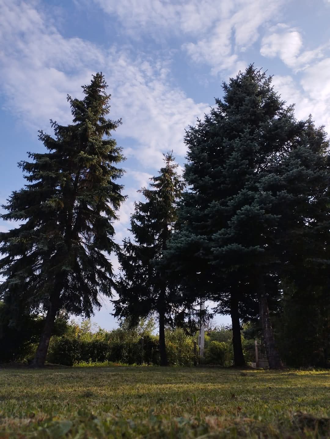 Madárkás - 3. kép