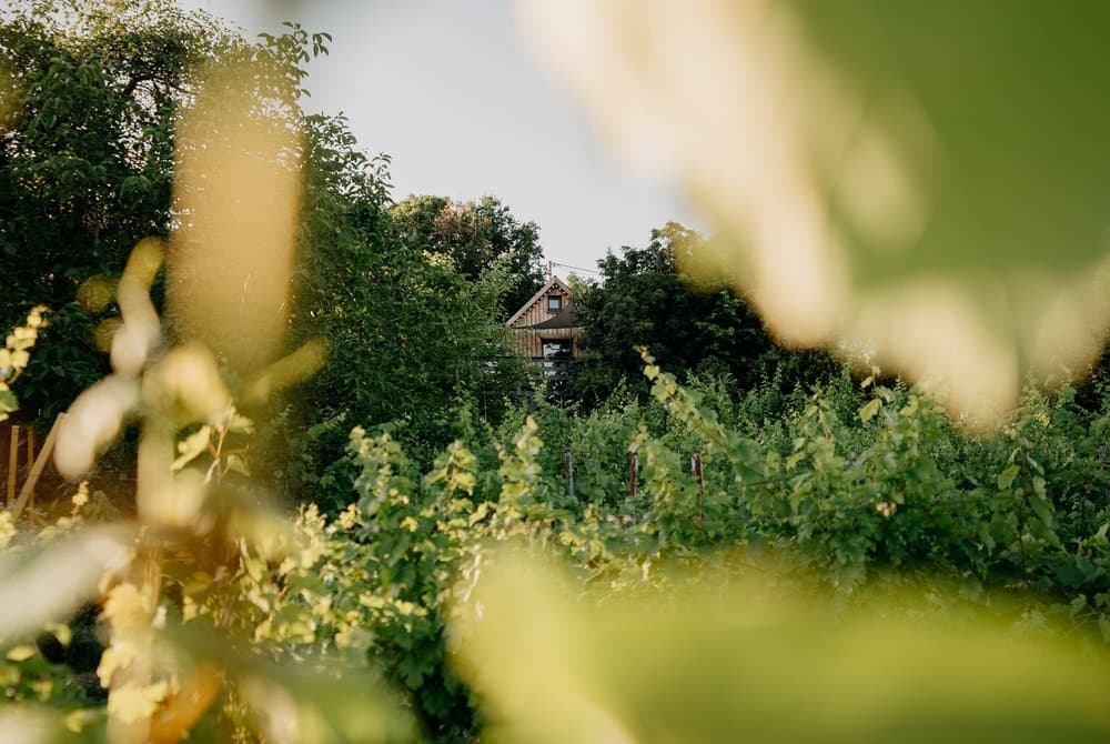 Casa Quint - 36. kép